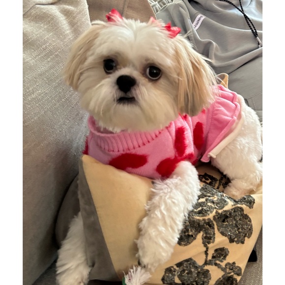 poshmom12345